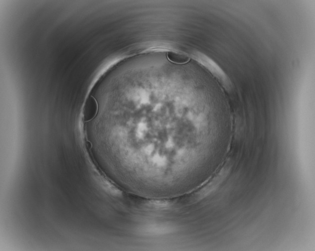 X0000115591190200911171023