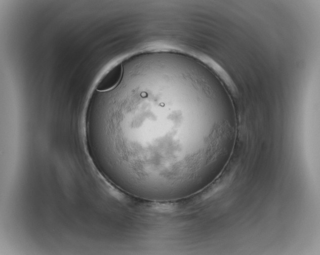 X0000115591191200911171023