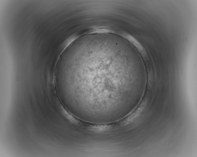 X0000115591193200911171023