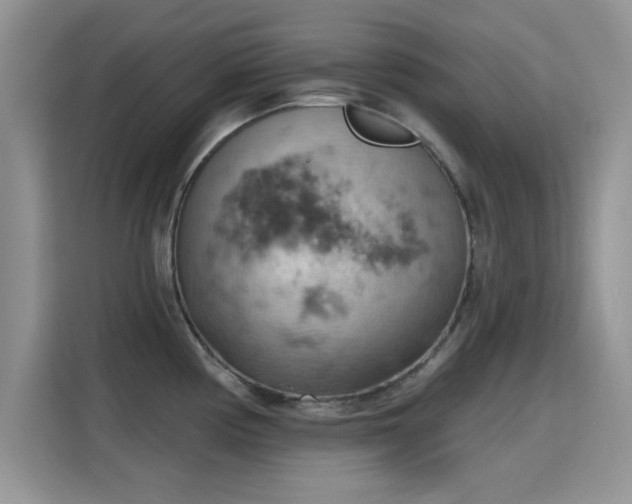 X0000115591194200911171023