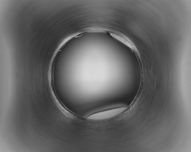 X0000115591195200911171023