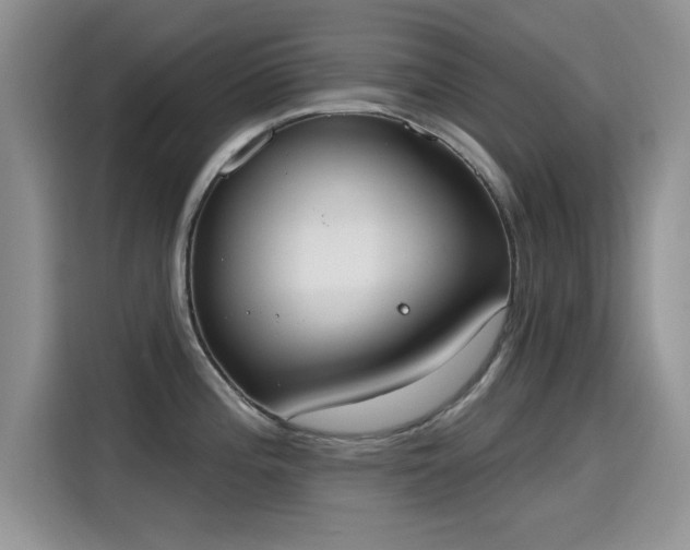 X0000115591196200911171023