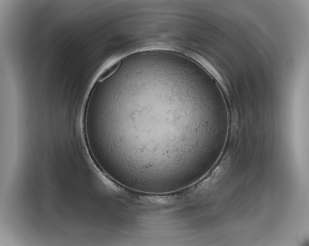 X0000115591197200911171023
