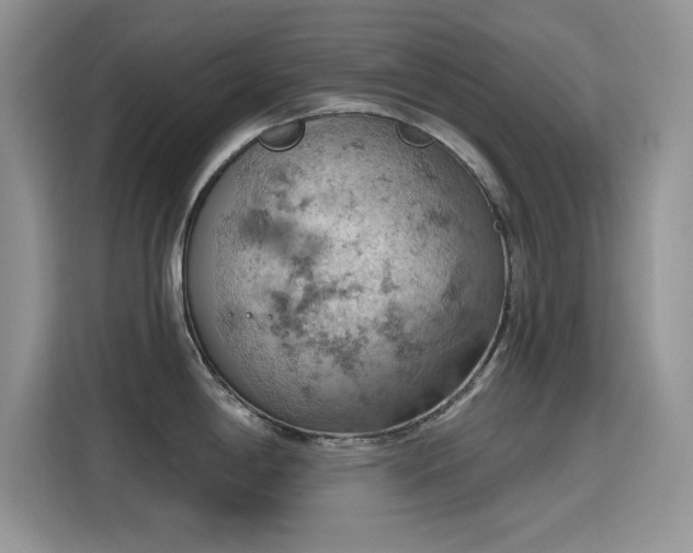 X0000115591198200911171023