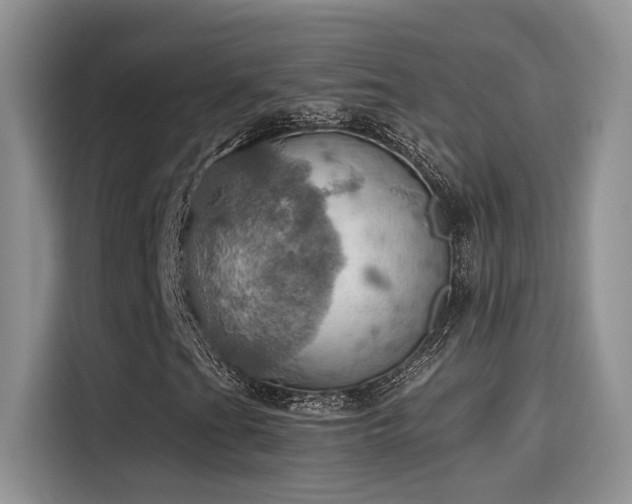 X0000115591201200911171023