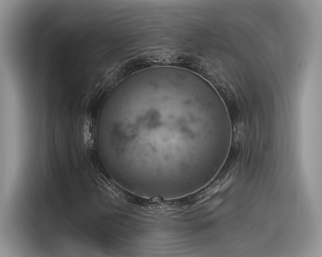 X0000115591202200911171023