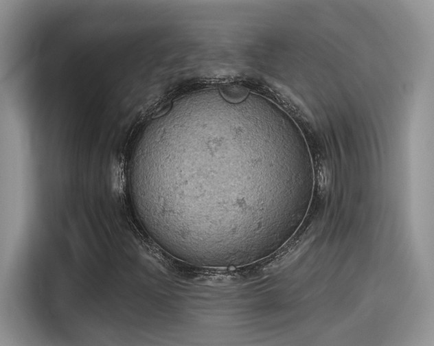 X0000115591204200911171023