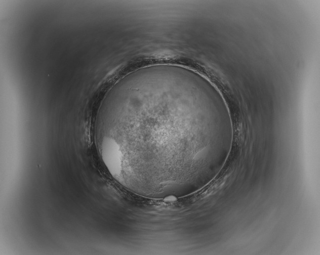X0000115591205200911171023