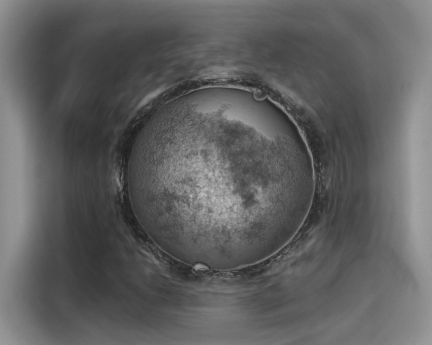 X0000115591206200911171023