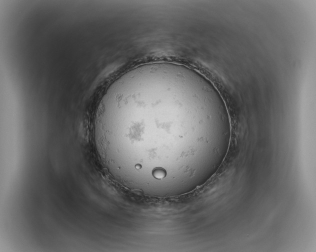 X0000115591207200911171023