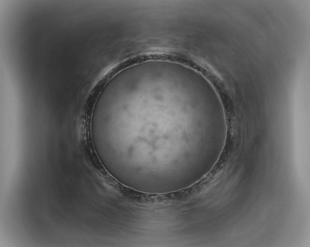 X0000115591208200911171023