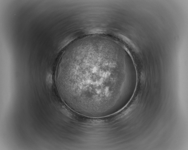 X0000115591209200911171023