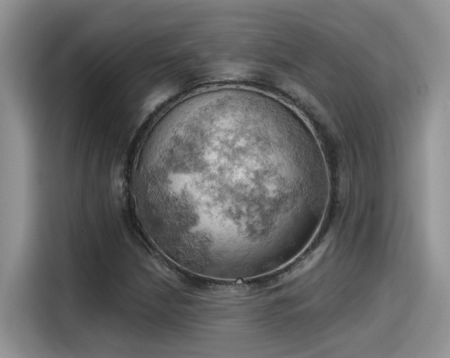 X0000115591210200911171023