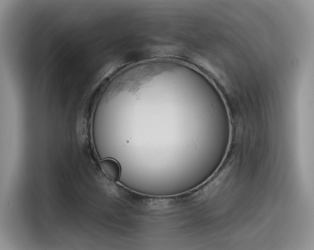 X0000115591211200911171023