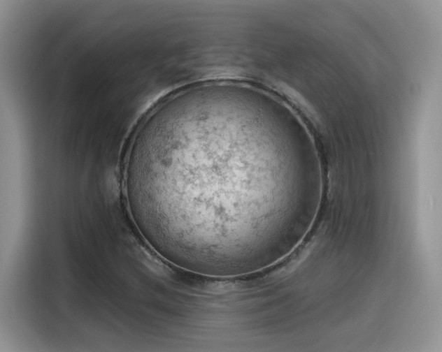 X0000115591212200911171023