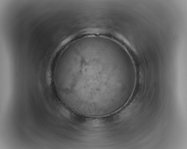 X0000115591213200911171023