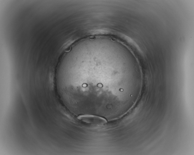 X0000115591217200911171023