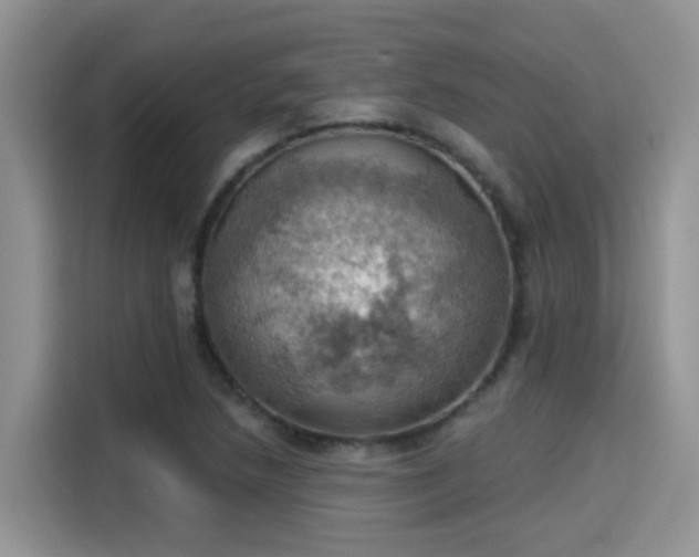 X0000115591218200911171023