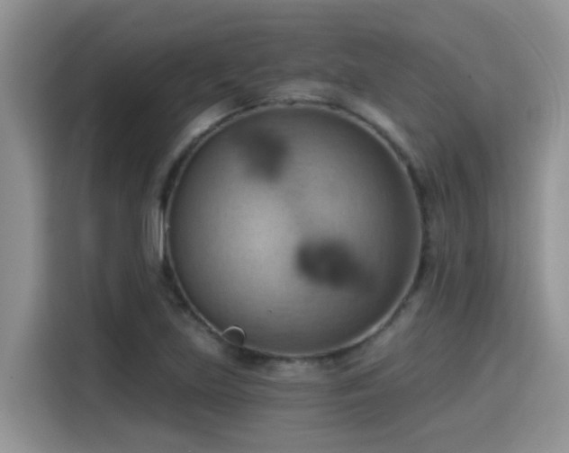 X0000115591219200911171023