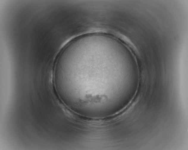 X0000115591220200911171023