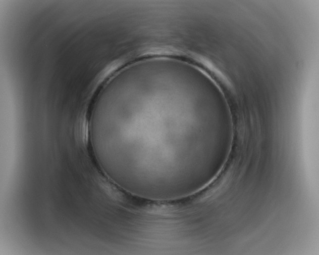 X0000115591221200911171023