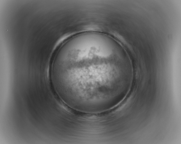 X0000115591222200911171023