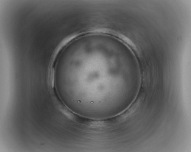 X0000115591223200911171023