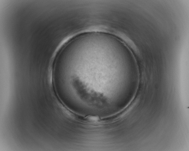 X0000115591224200911171023
