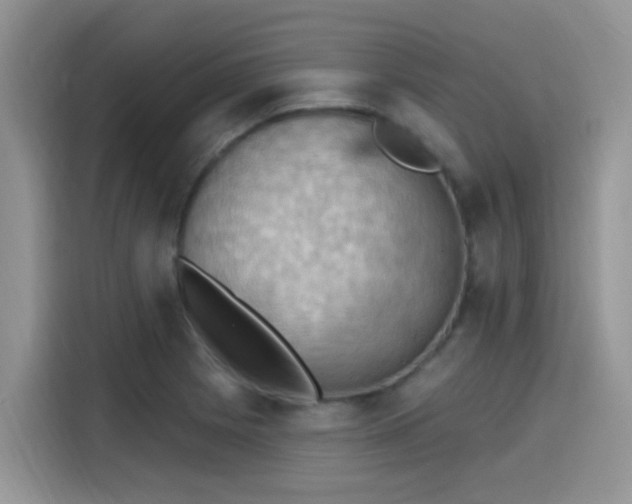 X0000115591225200911171023