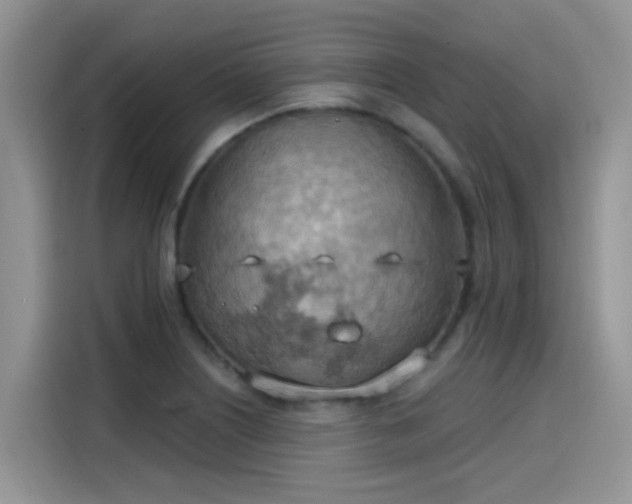 X0000115591226200911171023