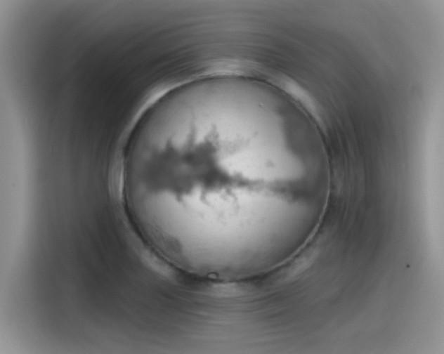 X0000115591227200911171023