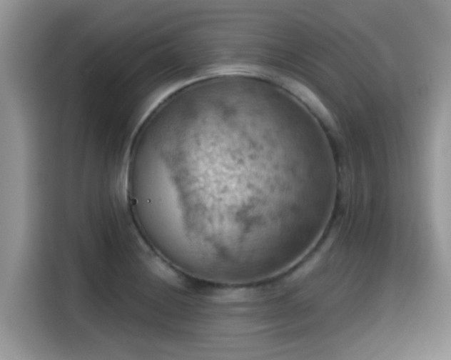 X0000115591228200911171023