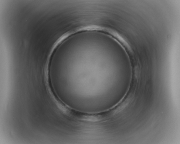 X0000115591229200911171023