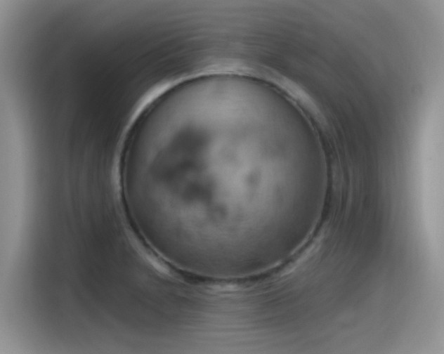 X0000115591230200911171023