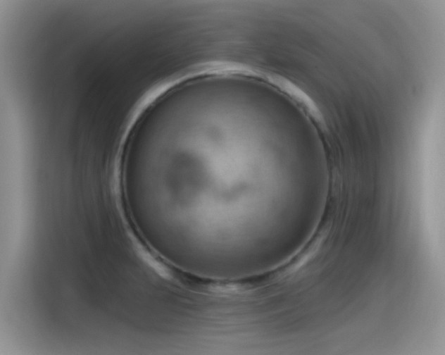 X0000115591231200911171023