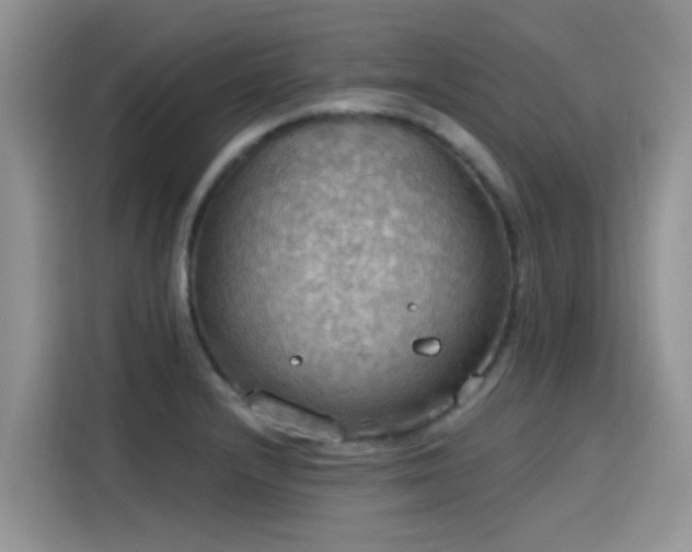 X0000115591232200911171023