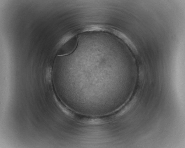 X0000115591233200911171023