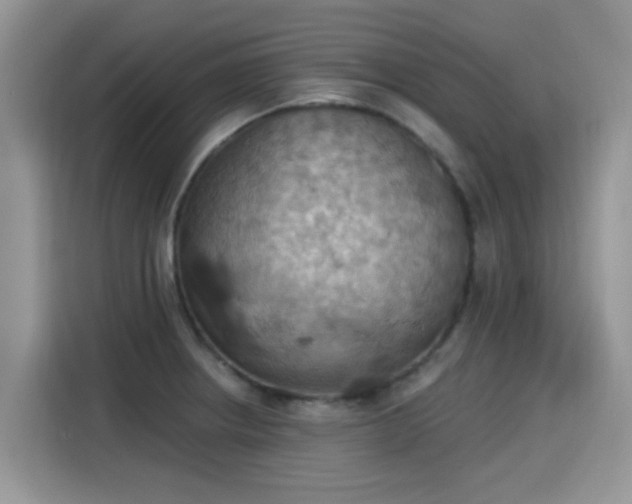 X0000115591234200911171023