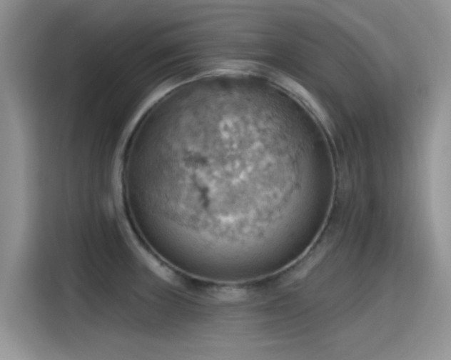X0000115591235200911171023