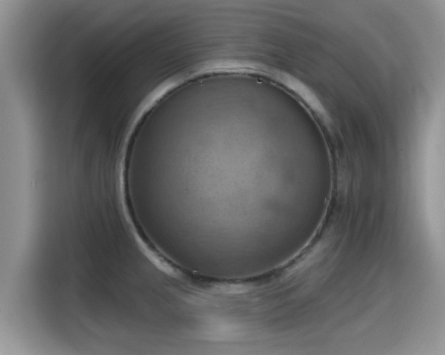 X0000115591237200911171023