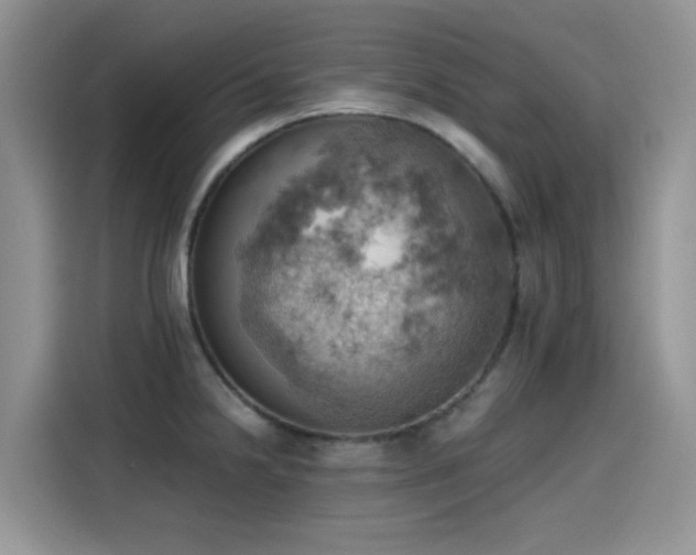 X0000115591238200911171023
