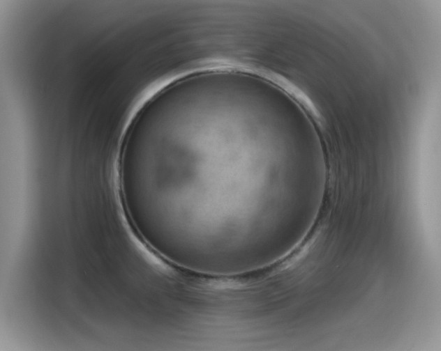 X0000115591239200911171023