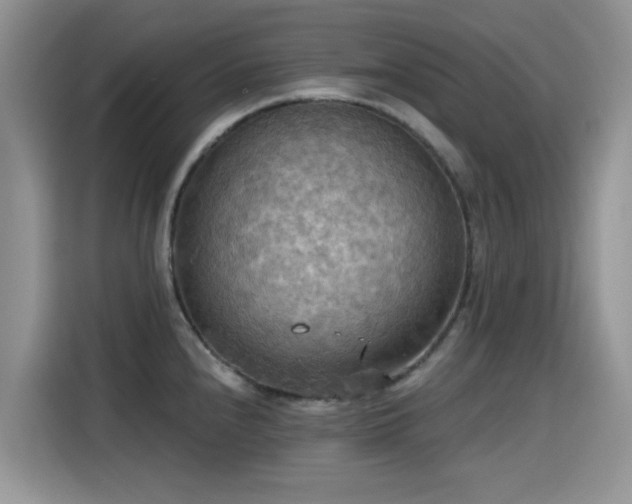 X0000115591240200911171023