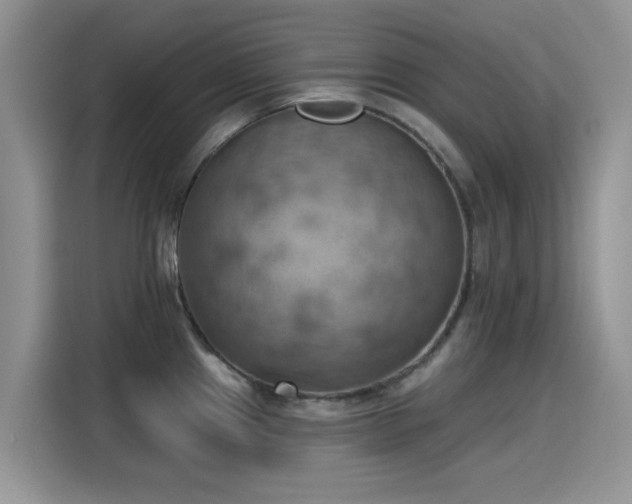 X0000115591241200911171023