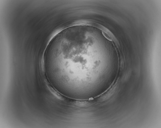 X0000115591242200911171023