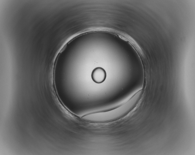 X0000115591244200911171023