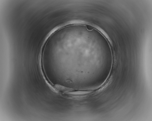 X0000115591245200911171023