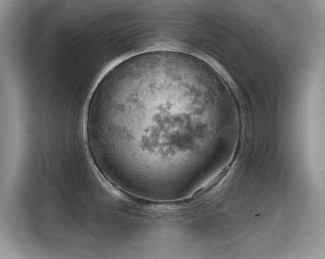X0000115591246200911171023