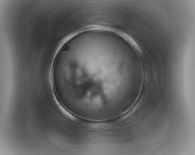 X0000115591247200911171023