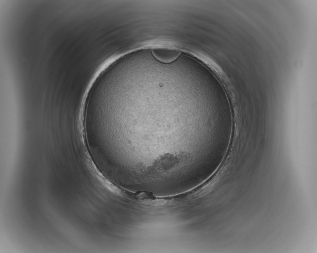 X0000115591248200911171023